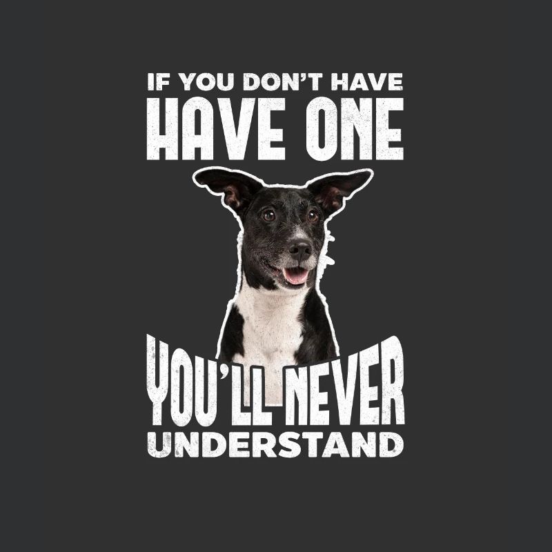 Australian Cattle Dog