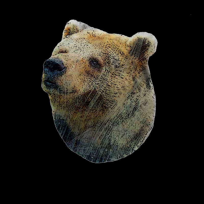 Fröhlicher Braunbär