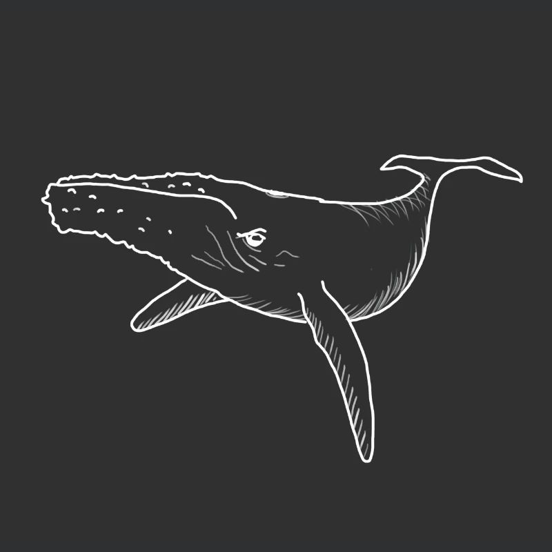walvis