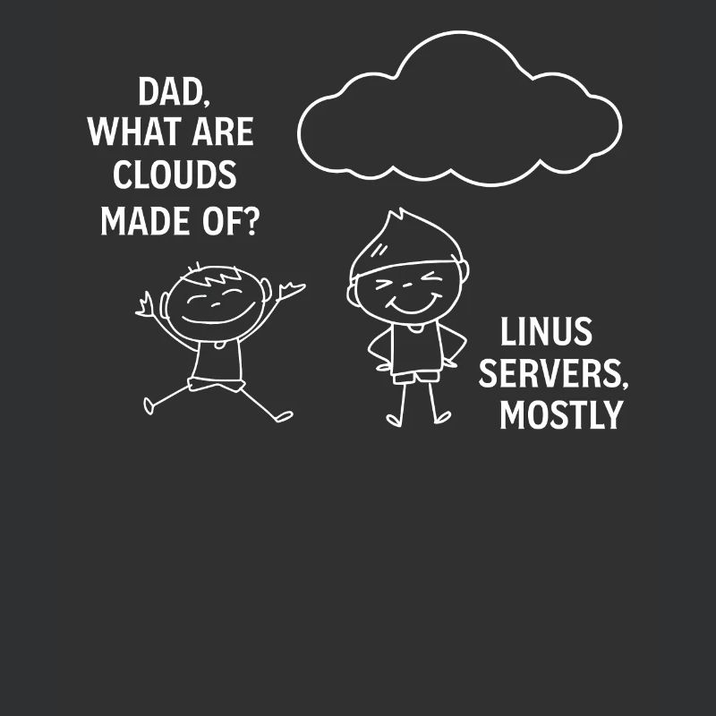Programming Software Developer Computer Engineer