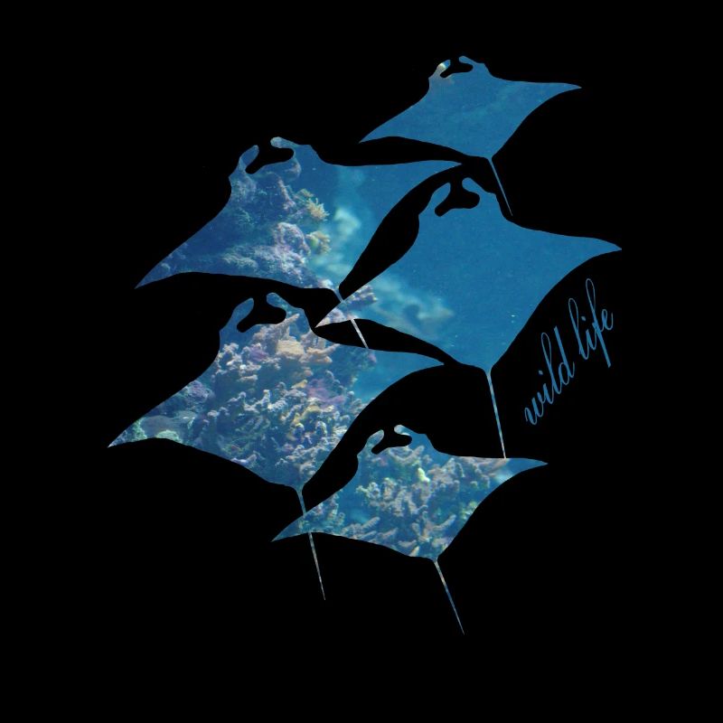 Rays Wildlife