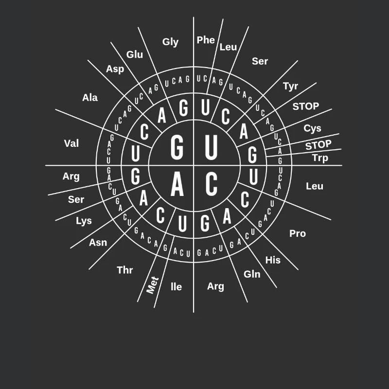 Great Biology Genetics, Sun Code, Funny