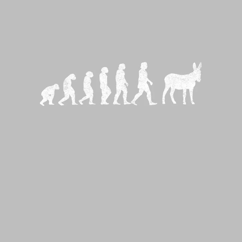 Donkey Mules Mules Mulis Evolution
