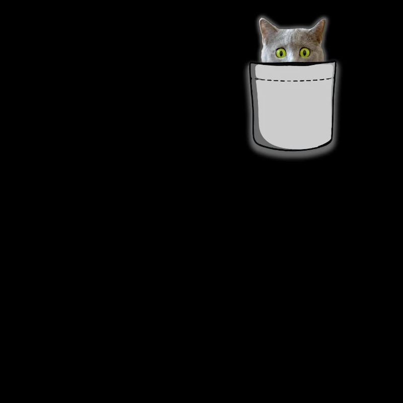 Sac chat
