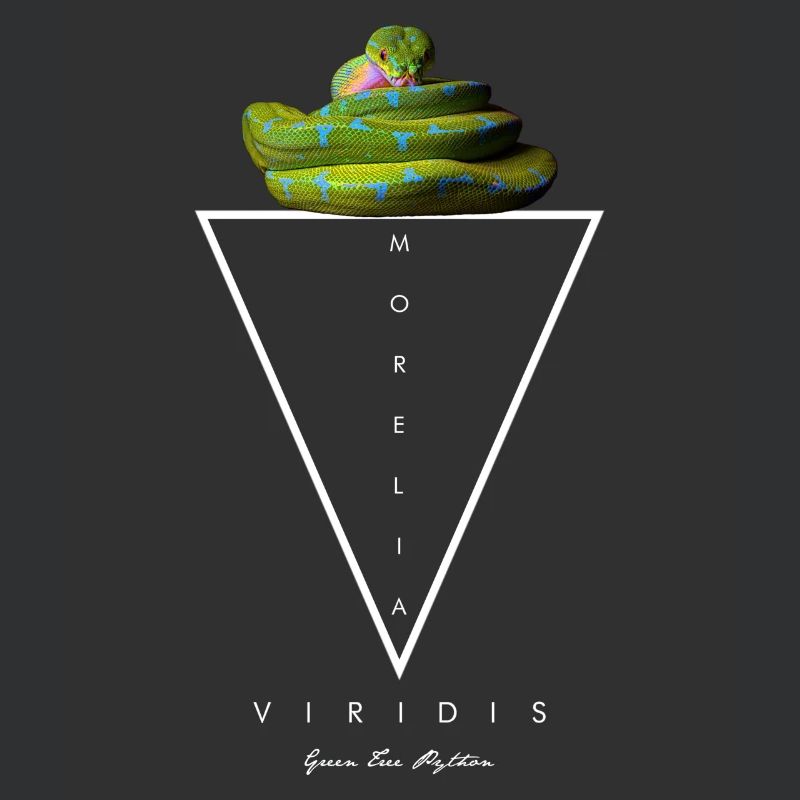 Green Tree Python Modern Geometric