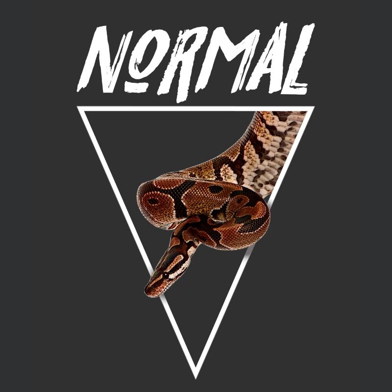 Normaler Ball Python Morph Schlange Besitzer