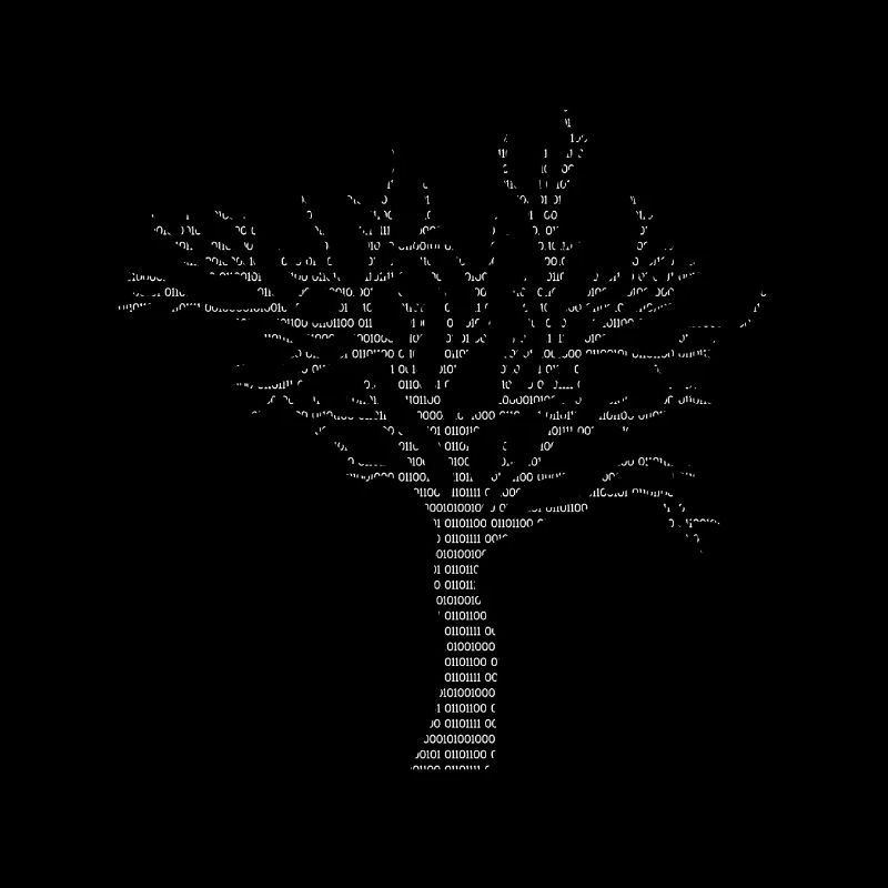 Binary Tree Admin Hacker Coder Programmierer