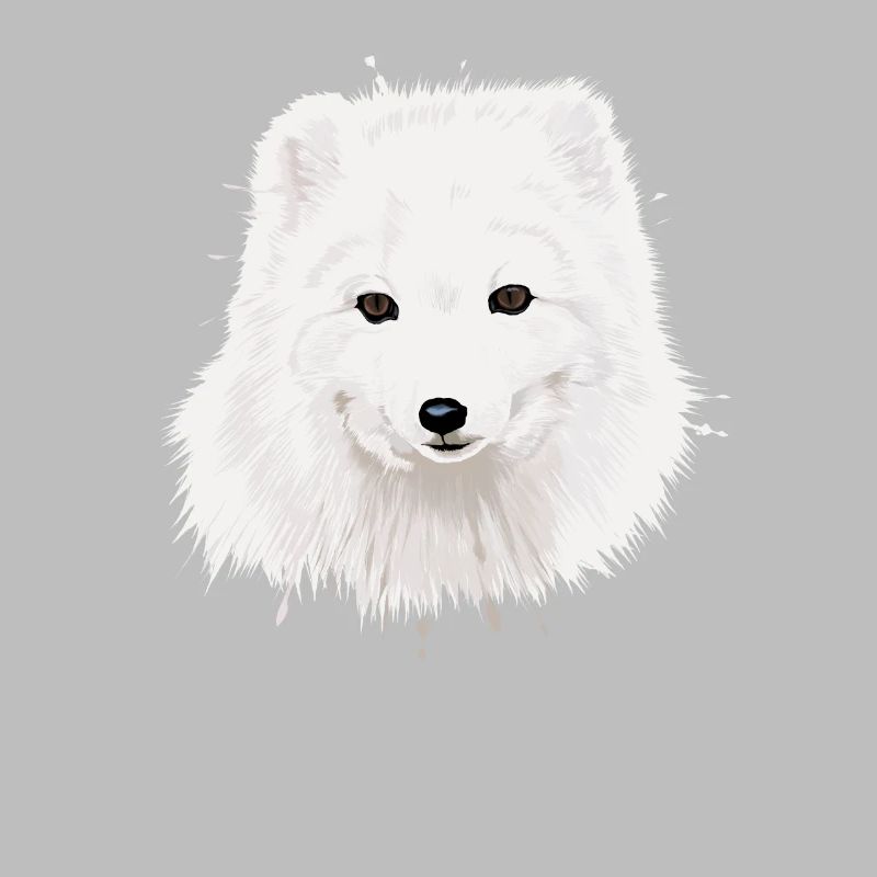 Polarfuchs