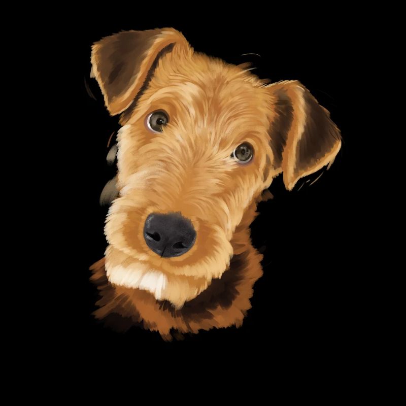 Airedale Terrier Hund