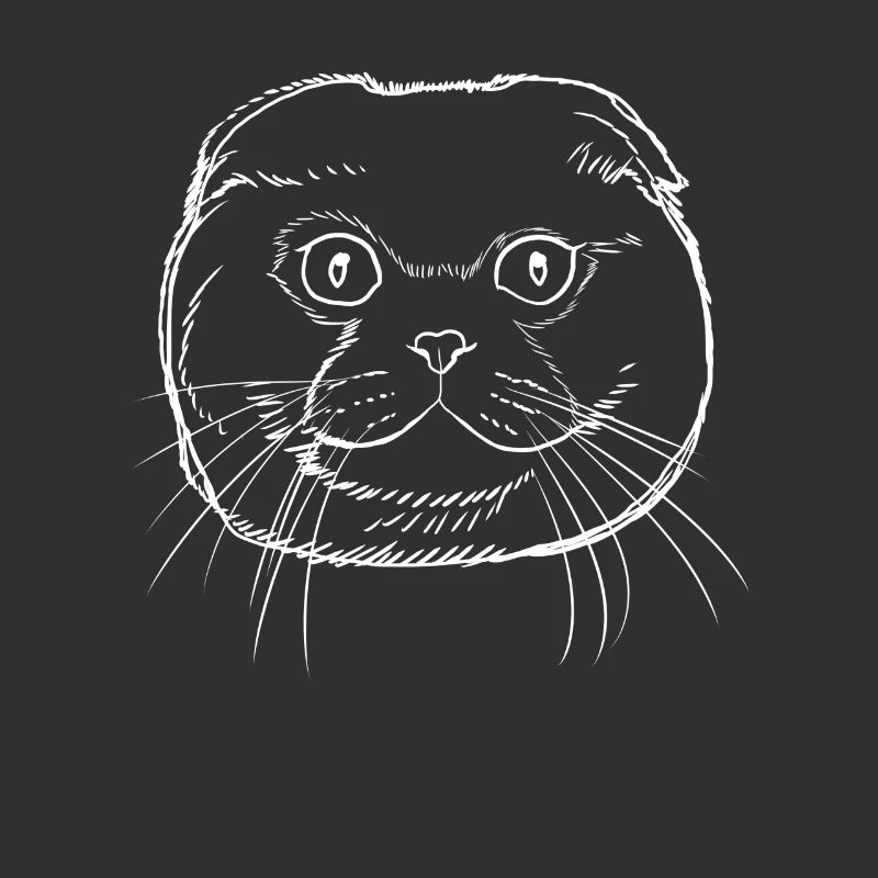 Scottish Fold Chat