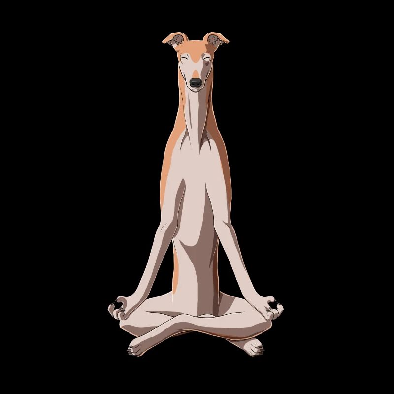 Meditating Greyhound Dog