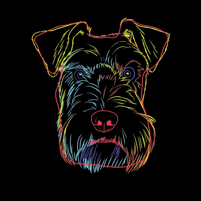 Bunte Schnauzer Hund