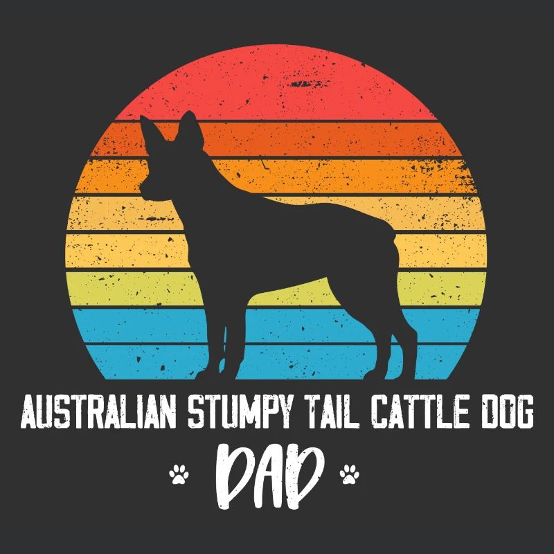 Australian Stumpy Tail Cattle Dog