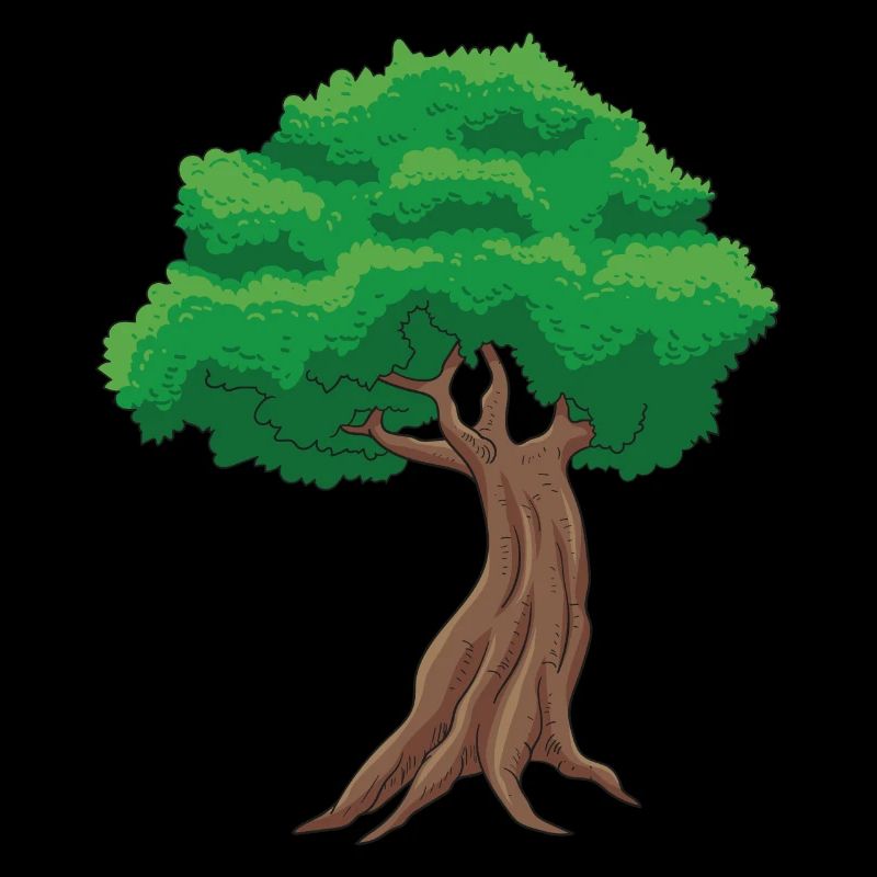Bonsai Baum