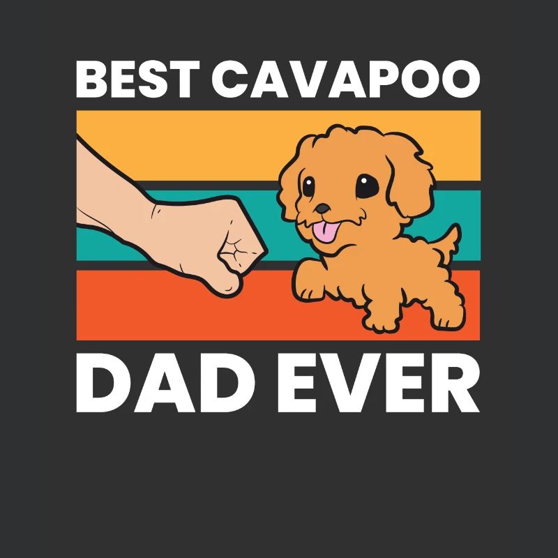 Cavapoo Hund Papa Cavoodle Bester Cavapoo Papa