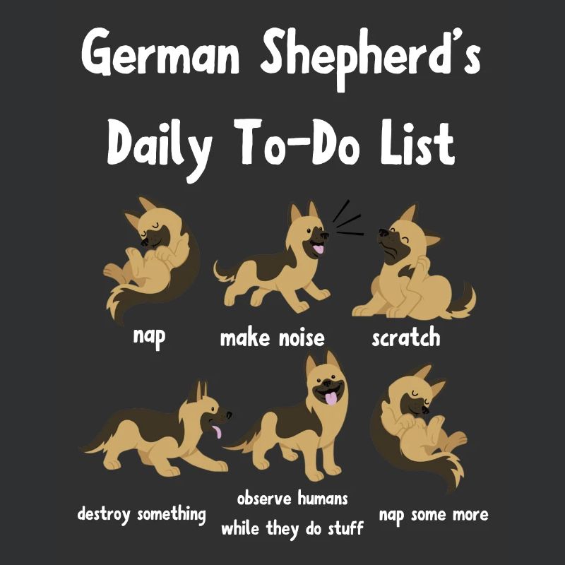 German shepherd