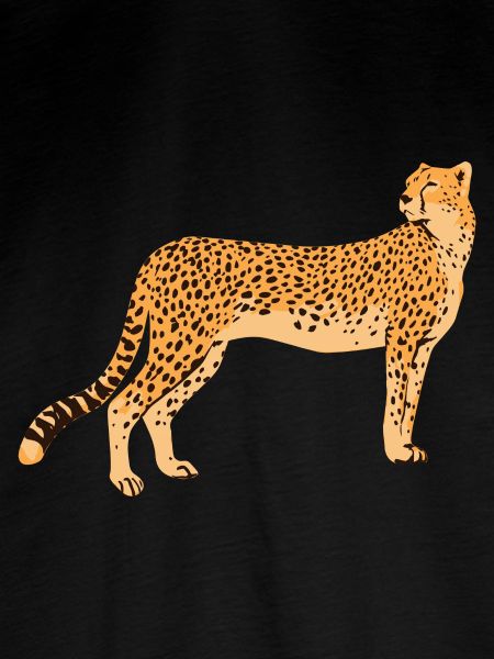 Gepard