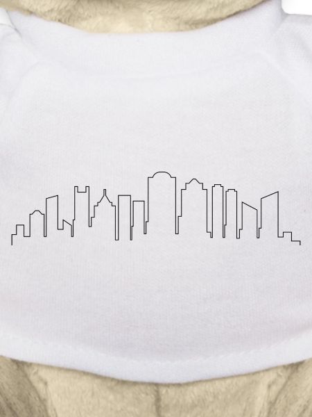 Boston Skyline