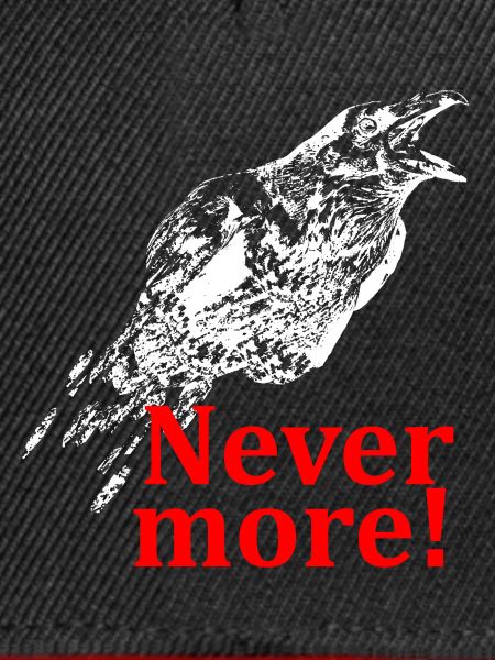 The Raven - Nevermore!