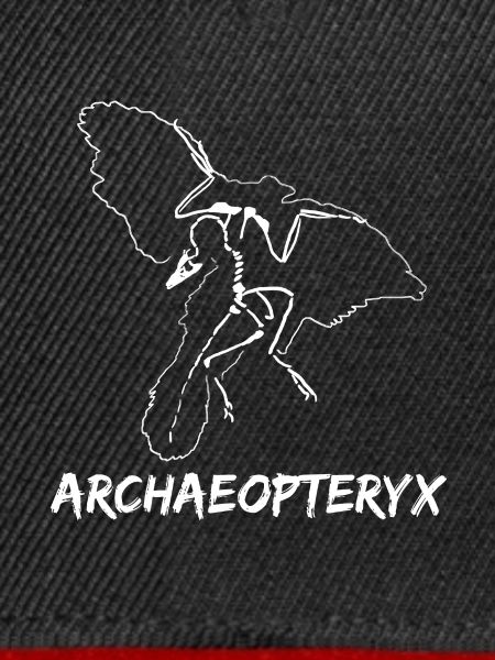 archaeopteryx mit federn