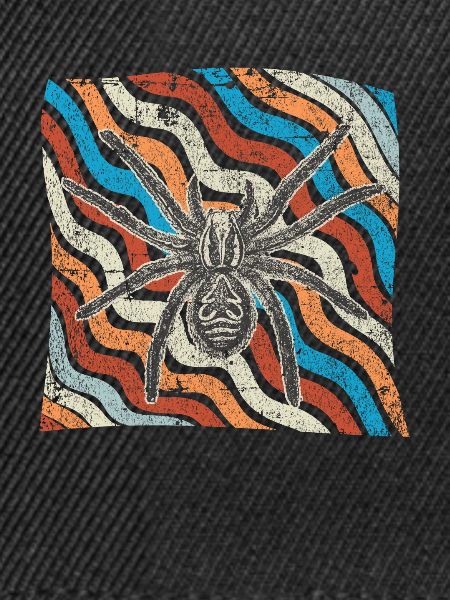 spider