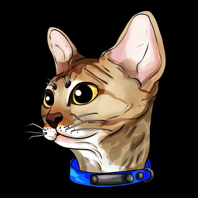 Devon Rex Chat Visage de Chat Amour