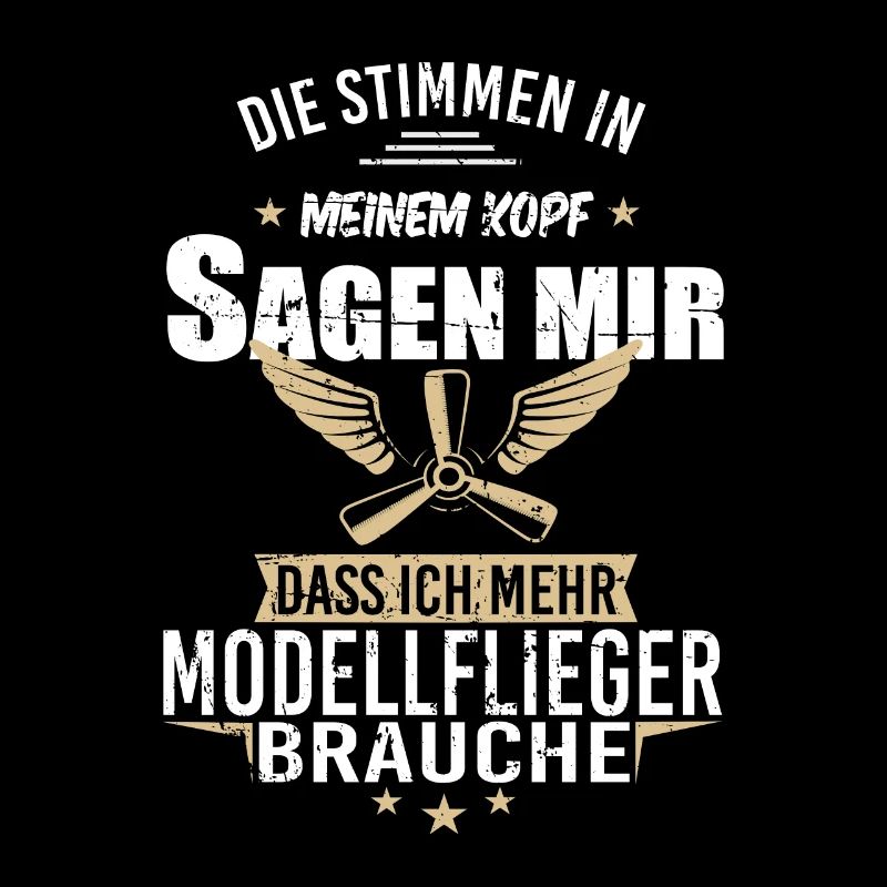 Modellbau Flugzeug Modellflug