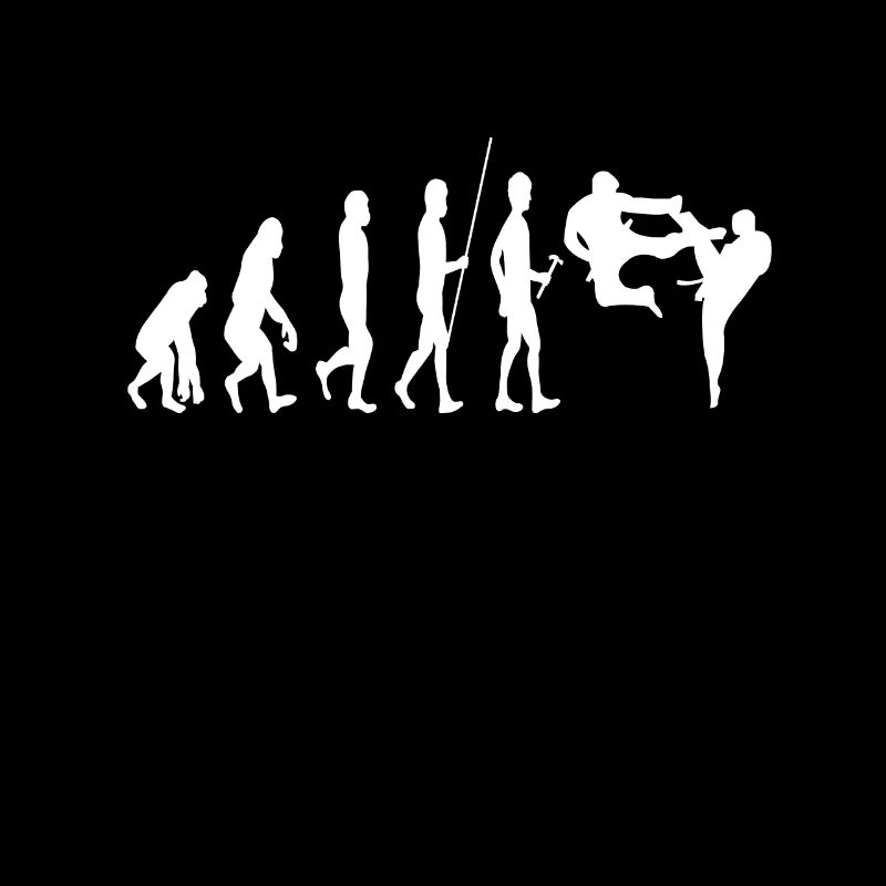 Karate Evolution