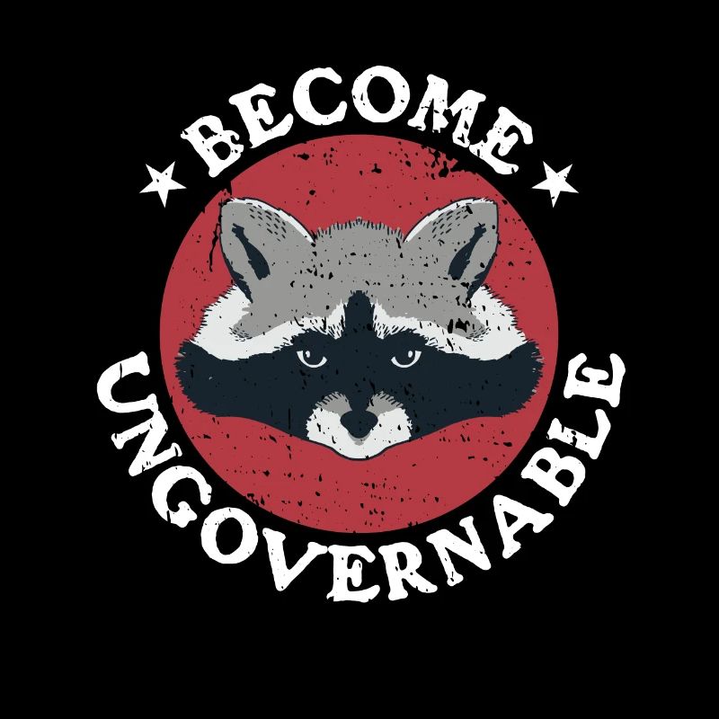 Raccoon Retro devient ingouvernable