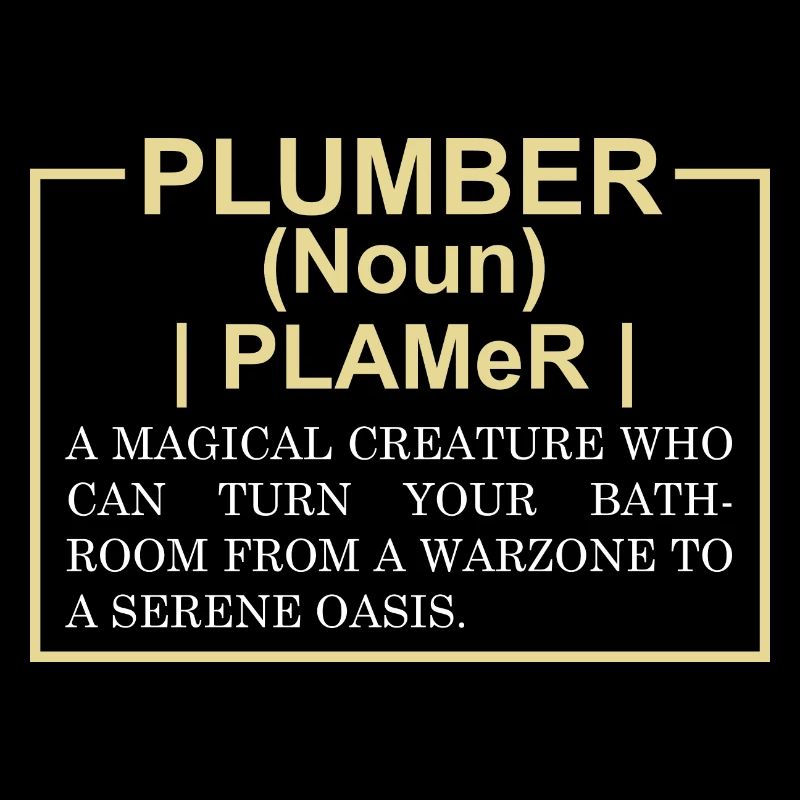 Funny Plumber Dictionary Entry
