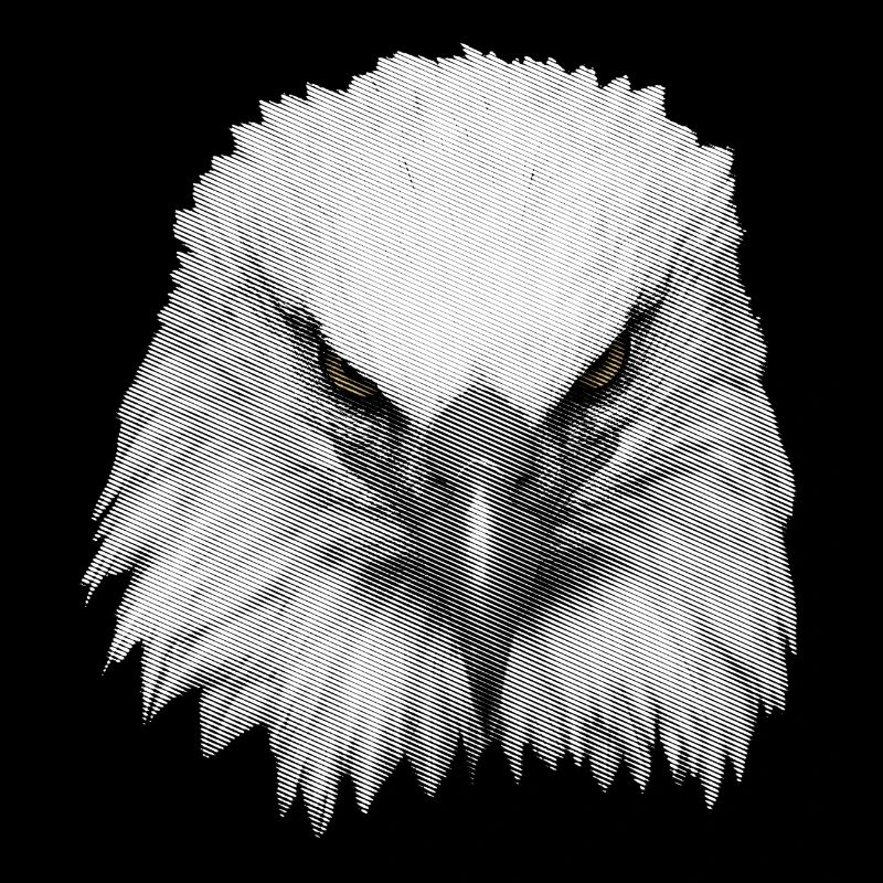 Big eagle head