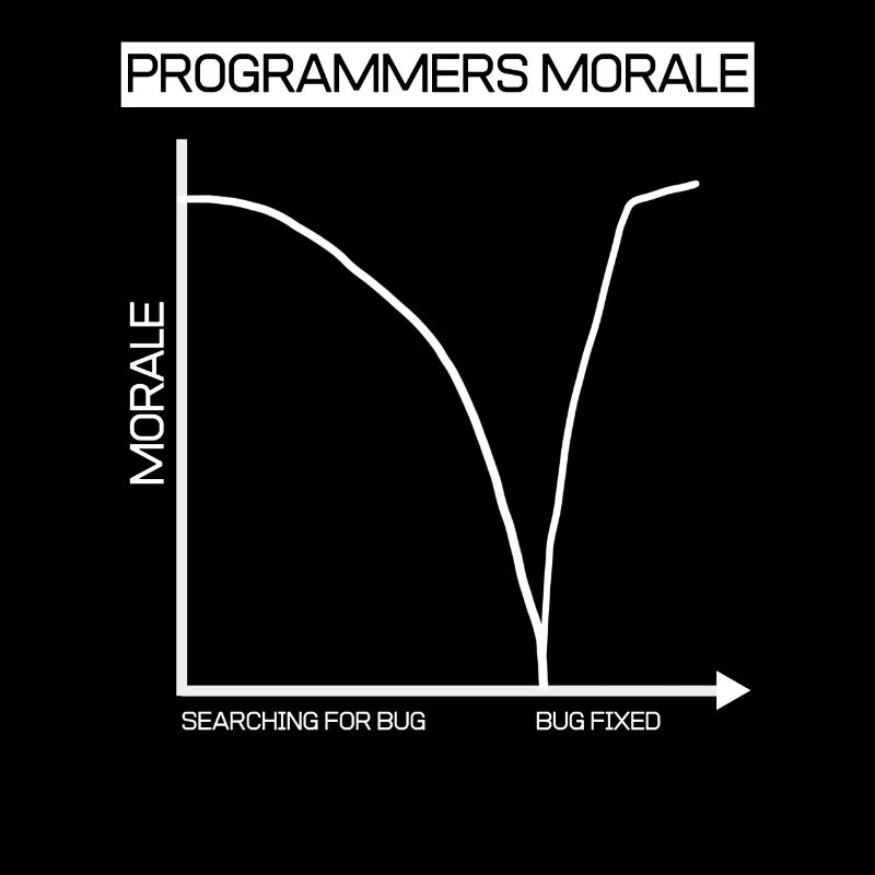 Lustiges Geschenk Programmierer Computer Diagramm