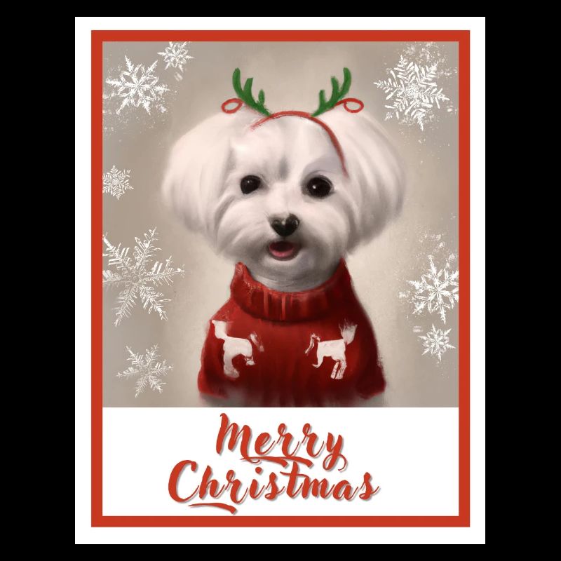 Doux chien maltais dans un pull de Noël rouge.