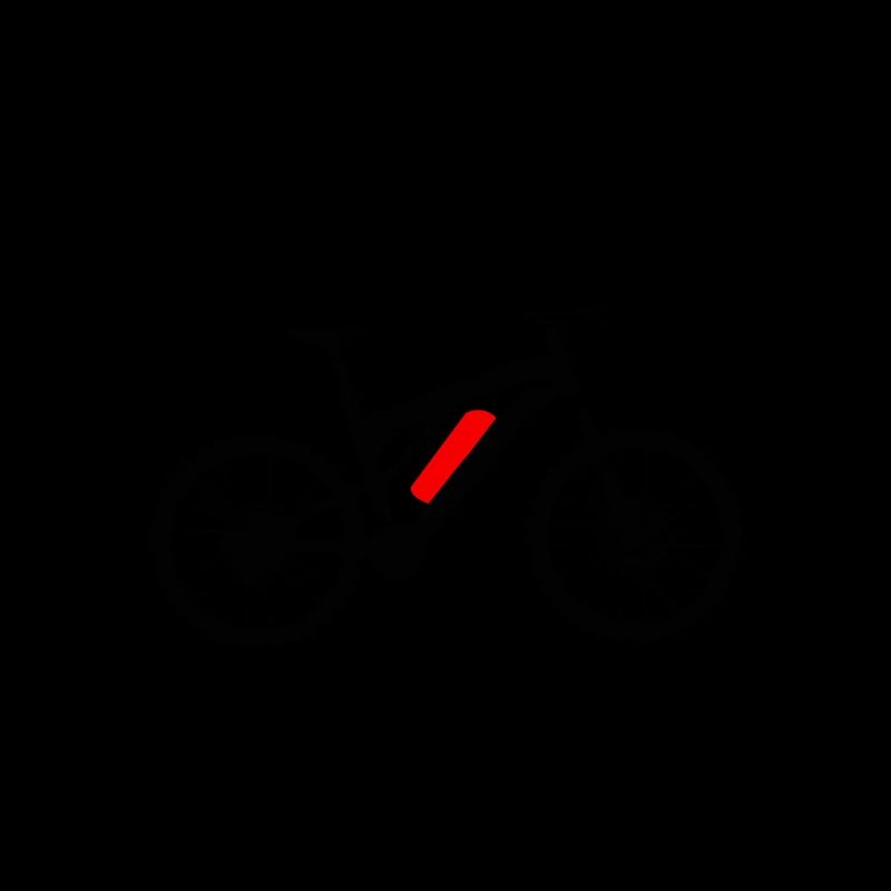 Ebike E-Bike - Geschenk E-Biker Therapie Pedelec