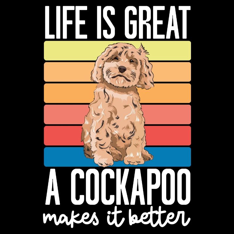Cockapoo Hund