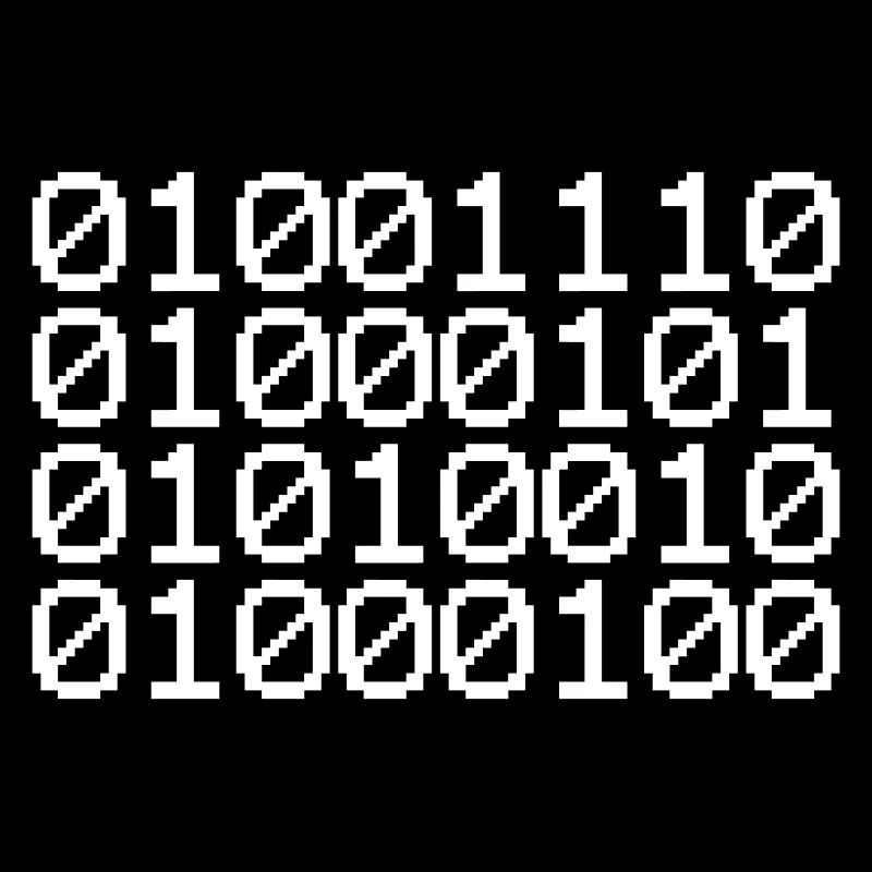 BINARY NERD