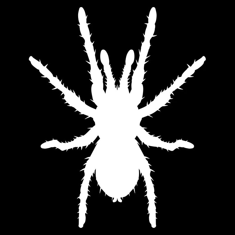 Tarantula hairy spider Bird Spider icon
