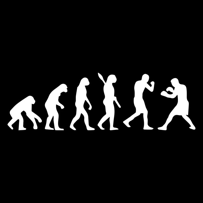 Evolution Boxing