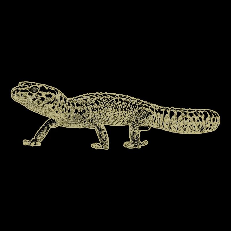 Gecko léopard