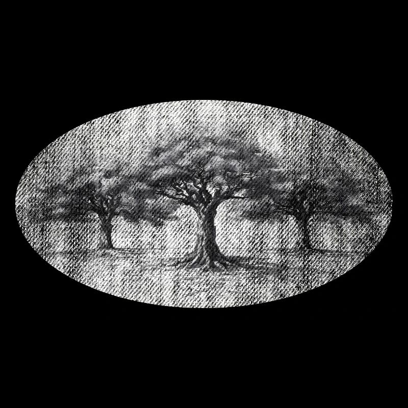 Old trees tree wisdom retro