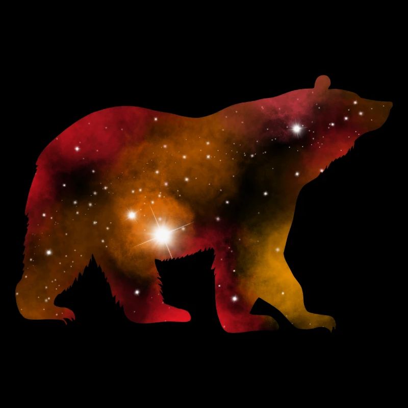 Galaxy Bear