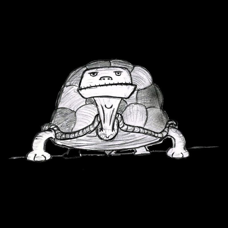 Turtle # North German art