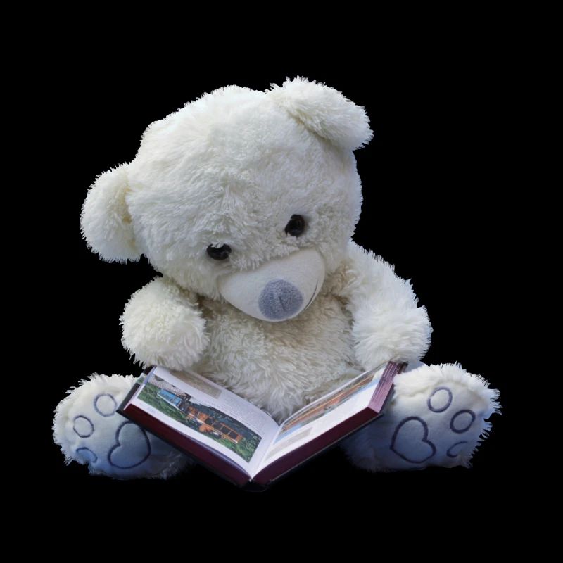 Teddy