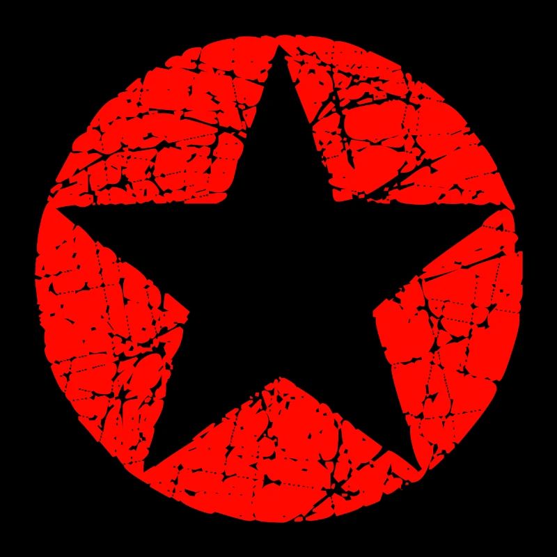 Circle star shape icon