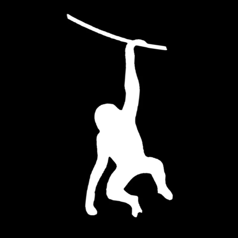 Monkey monkey black white