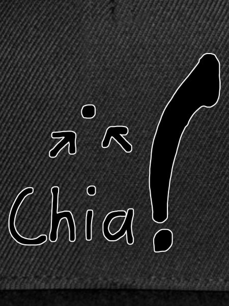 Chia Samen