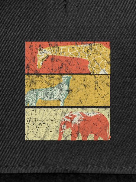 Safari