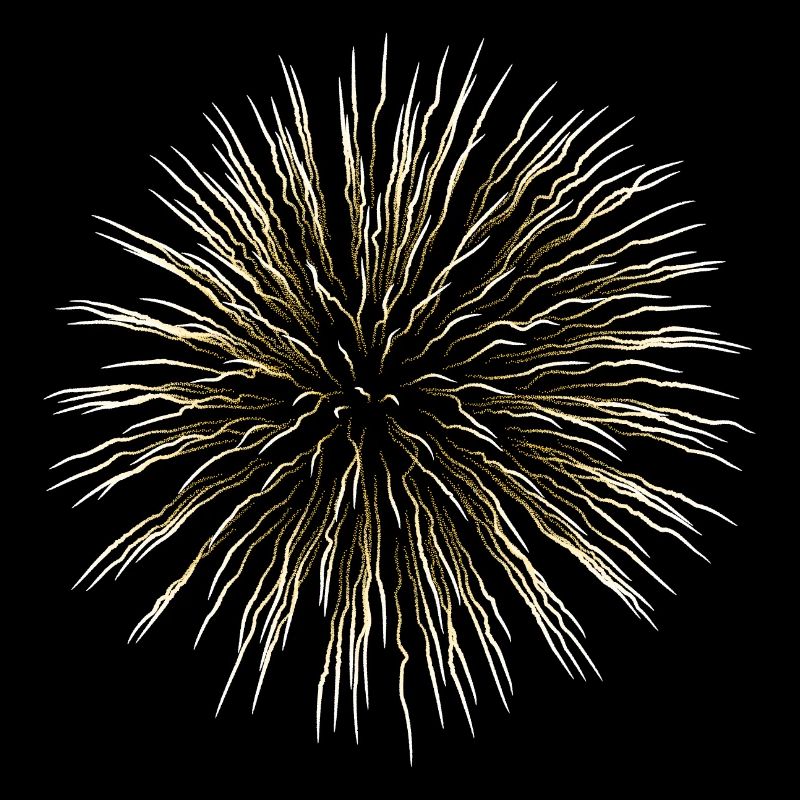 Gold willow firework