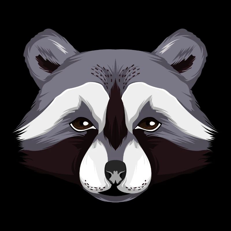 racoon