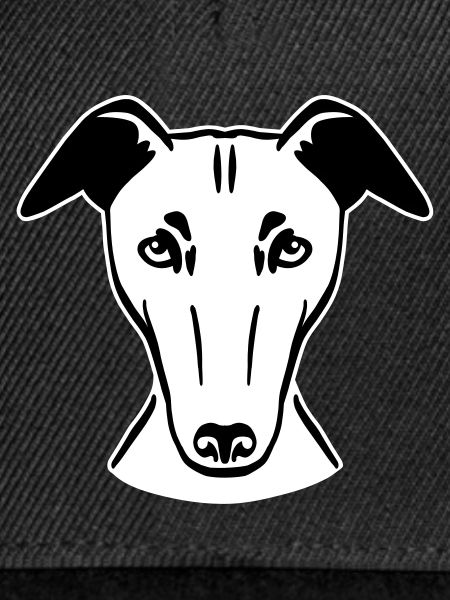 Greyhound